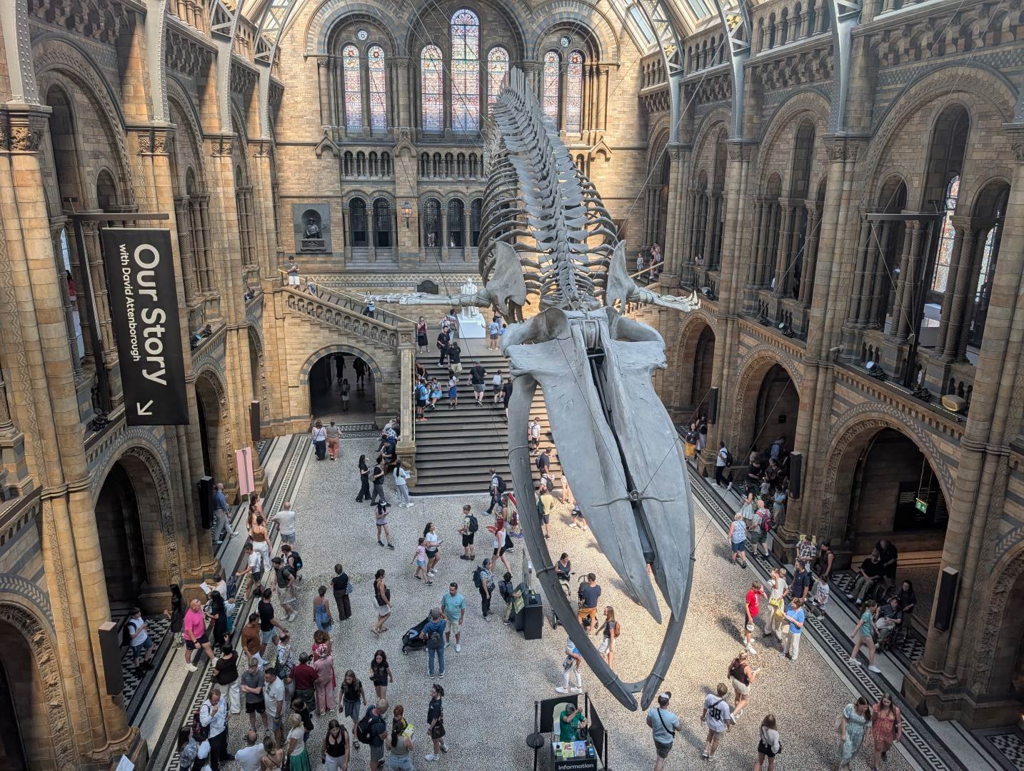 Inside the natural history museum